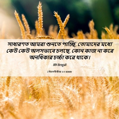 Picture 06 - 2 থিচলনীকীয়া 3:11 BENIRV - সাধারণত আমরা - Bible Verse Picture
