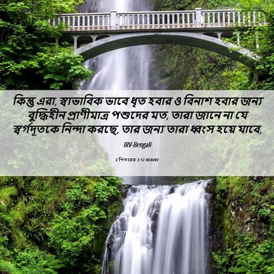 Picture 06 - 2 পিতরের 2:12 BENIRV - কিন্তু এরা, - Bible Verse Picture