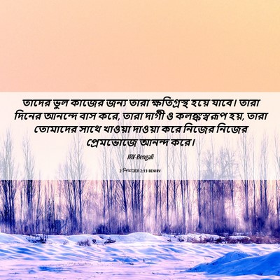 Picture 06 - 2 পিতরের 2:13 BENIRV - তাদের ভুল কাজের - Bible Verse Picture