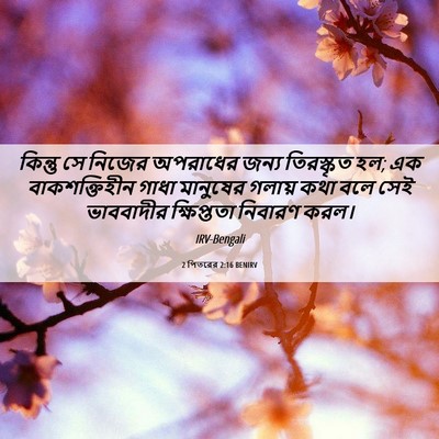 Picture 06 - 2 পিতরের 2:16 BENIRV - কিন্তু সে নিজের - Bible Verse Picture