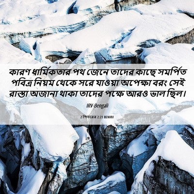 Picture 06 - 2 পিতরের 2:21 BENIRV - কারণ ধার্মিকতার - Bible Verse Picture