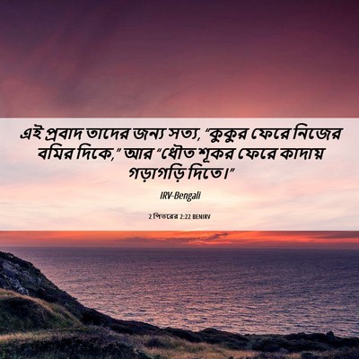 Picture 06 - 2 পিতরের 2:22 BENIRV - এই প্রবাদ তাদের - Bible Verse Picture