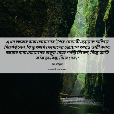Picture 06 - 2 বংশাৱলি 10:11 BENIRV - এখন আমার বাবা - Bible Verse Picture