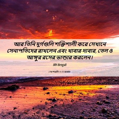 Picture 06 - 2 বংশাৱলি 11:11 BENIRV - আর তিনি দুর্গগুলি - Bible Verse Picture