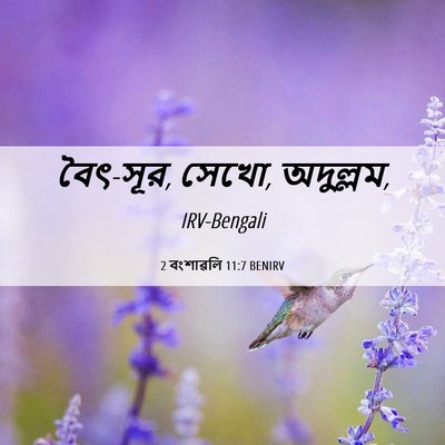 Picture 06 - 2 বংশাৱলি 11:7 BENIRV - বৈৎ-সূর, সেখো, - Bible Verse Picture