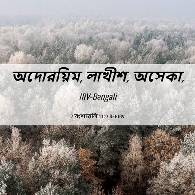 Picture 06 - 2 বংশাৱলি 11:9 BENIRV - অদোরয়িম, লাখীশ, - Bible Verse Picture