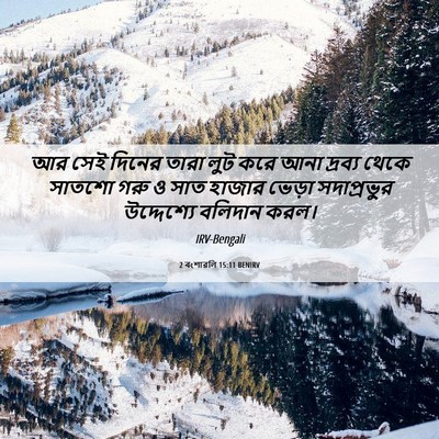 Picture 06 - 2 বংশাৱলি 15:11 BENIRV - আর সেই দিনের তারা - Bible Verse Picture