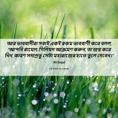 Picture 06 - 2 বংশাৱলি 18:11 BENIRV - আর ভাববাদীরা সবাই - Bible Verse Picture