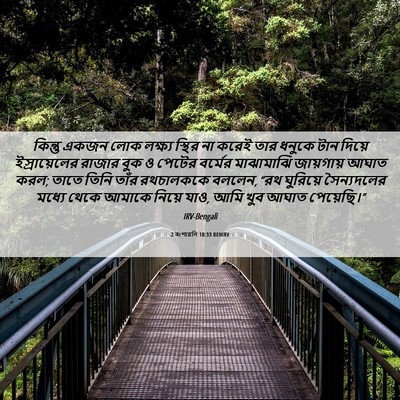 Picture 06 - 2 বংশাৱলি 18:33 BENIRV - কিন্তু একজন লোক - Bible Verse Picture