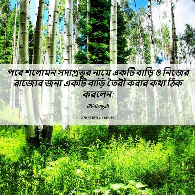 Picture 06 - 2 বংশাৱলি 2:1 BENIRV - পরে শলোমন - Bible Verse Picture