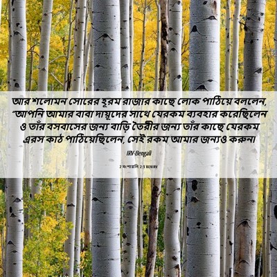 Picture 06 - 2 বংশাৱলি 2:3 BENIRV - আর শলোমন সোরের - Bible Verse Picture