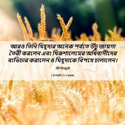 Picture 06 - 2 বংশাৱলি 21:11 BENIRV - আরও তিনি যিহূদার - Bible Verse Picture