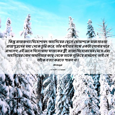 Picture 06 - 2 বংশাৱলি 22:11 BENIRV - কিন্তু রাজকন্যা - Bible Verse Picture