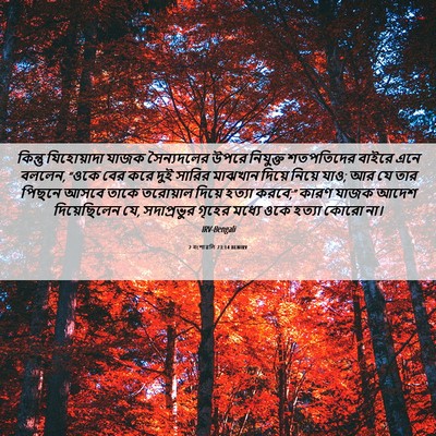 Picture 06 - 2 বংশাৱলি 23:14 BENIRV - কিন্তু যিহোয়াদা - Bible Verse Picture
