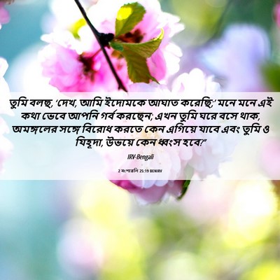 Picture 06 - 2 বংশাৱলি 25:19 BENIRV - তুমি বলছ, ‘দেখ, আমি - Bible Verse Picture