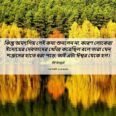 Picture 06 - 2 বংশাৱলি 25:20 BENIRV - কিন্তু অমৎসিয় - Bible Verse Picture
