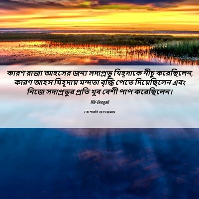 Picture 06 - 2 বংশাৱলি 28:19 BENIRV - কারণ রাজা আহসের - Bible Verse Picture