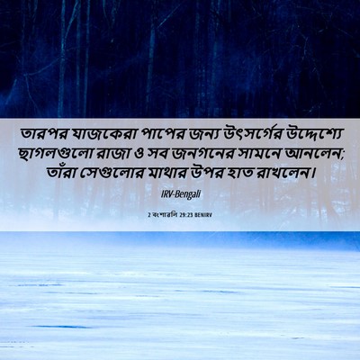Picture 06 - 2 বংশাৱলি 29:23 BENIRV - তারপর যাজকেরা - Bible Verse Picture