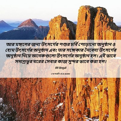 Picture 06 - 2 বংশাৱলি 29:35 BENIRV - আর মঙ্গলের জন্য - Bible Verse Picture