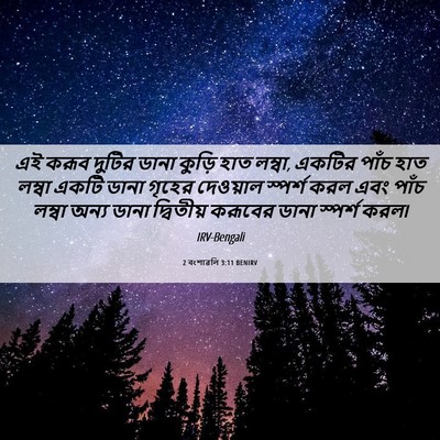 Picture 06 - 2 বংশাৱলি 3:11 BENIRV - এই করূব দুটির ডানা - Bible Verse Picture