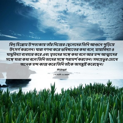 Picture 06 - 2 বংশাৱলি 33:6 BENIRV - বিন্‌-হিন্নোম - Bible Verse Picture