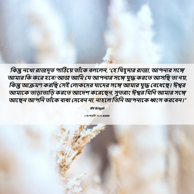 Picture 06 - 2 বংশাৱলি 35:21 BENIRV - কিন্তু নখো রাজদূত - Bible Verse Picture