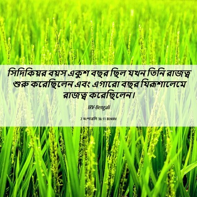Picture 06 - 2 বংশাৱলি 36:11 BENIRV - সিদিকিয়র বয়স - Bible Verse Picture