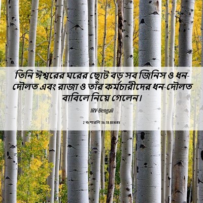 Picture 06 - 2 বংশাৱলি 36:18 BENIRV - তিনি ঈশ্বরের ঘরের - Bible Verse Picture