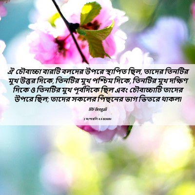 Picture 06 - 2 বংশাৱলি 4:4 BENIRV - ঐ চৌবাচ্চা বারটি - Bible Verse Picture