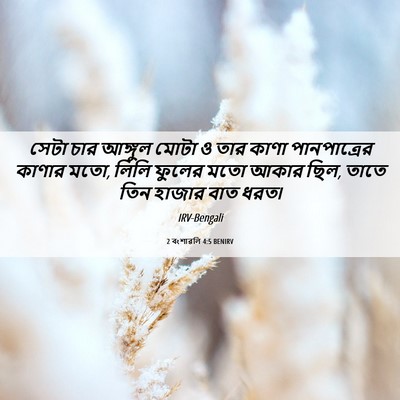 Picture 06 - 2 বংশাৱলি 4:5 BENIRV - সেটা চার আঙ্গুল - Bible Verse Picture