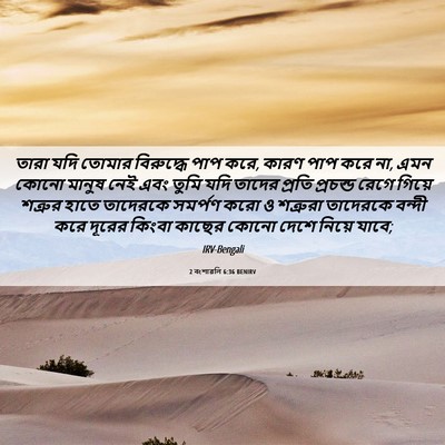 Picture 06 - 2 বংশাৱলি 6:36 BENIRV - তারা যদি তোমার - Bible Verse Picture