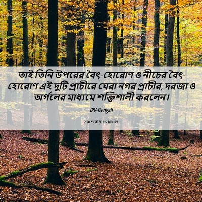 Picture 06 - 2 বংশাৱলি 8:5 BENIRV - তাই তিনি উপরের - Bible Verse Picture