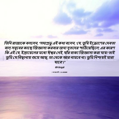 Picture 06 - 2 ৰাজাৱলি 1:16 BENIRV - তিনি রাজাকে বললেন, - Bible Verse Picture