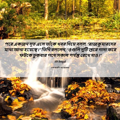 Picture 06 - 2 ৰাজাৱলি 10:8 BENIRV - পরে একজন দূত এসে - Bible Verse Picture