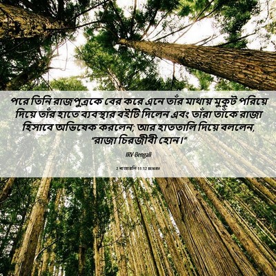 Picture 06 - 2 ৰাজাৱলি 11:12 BENIRV - পরে তিনি - Bible Verse Picture