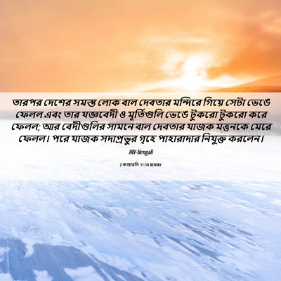 Picture 06 - 2 ৰাজাৱলি 11:18 BENIRV - তারপর দেশের সমস্ত - Bible Verse Picture