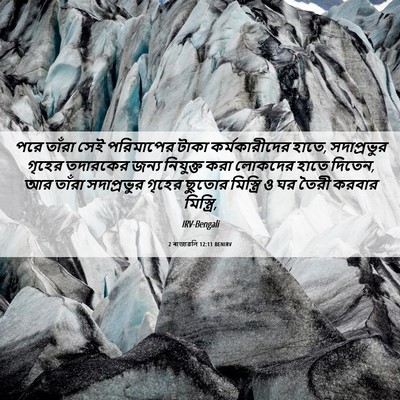 Picture 06 - 2 ৰাজাৱলি 12:11 BENIRV - পরে তাঁরা সেই - Bible Verse Picture