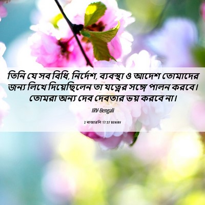 Picture 06 - 2 ৰাজাৱলি 17:37 BENIRV - তিনি যে সব বিধি, - Bible Verse Picture