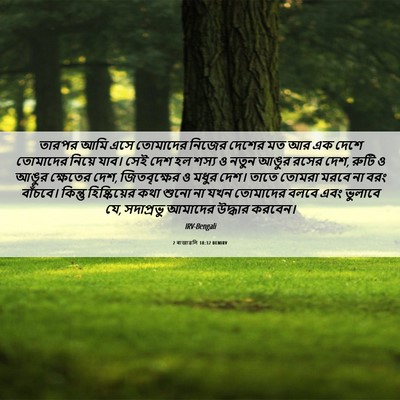 Picture 06 - 2 ৰাজাৱলি 18:32 BENIRV - তারপর আমি এসে - Bible Verse Picture