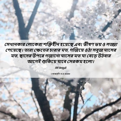 Picture 06 - 2 ৰাজাৱলি 19:26 BENIRV - সেখানকার লোকেরা - Bible Verse Picture