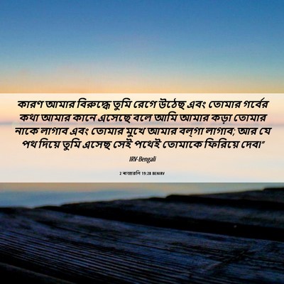 Picture 06 - 2 ৰাজাৱলি 19:28 BENIRV - কারণ আমার - Bible Verse Picture