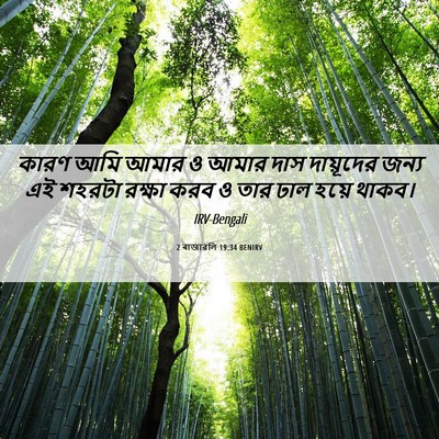 Picture 06 - 2 ৰাজাৱলি 19:34 BENIRV - কারণ আমি আমার ও - Bible Verse Picture