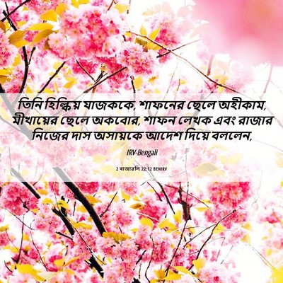 Picture 06 - 2 ৰাজাৱলি 22:12 BENIRV - তিনি হিল্কিয় - Bible Verse Picture