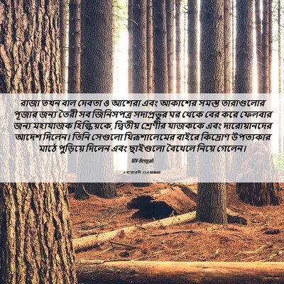 Picture 06 - 2 ৰাজাৱলি 23:4 BENIRV - রাজা তখন বাল দেবতা - Bible Verse Picture