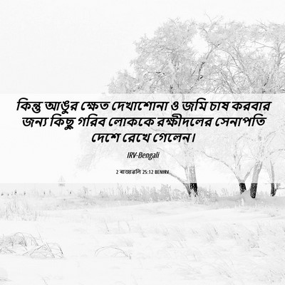 Picture 06 - 2 ৰাজাৱলি 25:12 BENIRV - কিন্তু আঙুর ক্ষেত - Bible Verse Picture