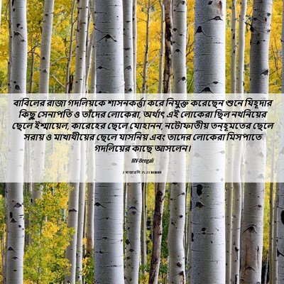 Picture 06 - 2 ৰাজাৱলি 25:23 BENIRV - বাবিলের রাজা - Bible Verse Picture