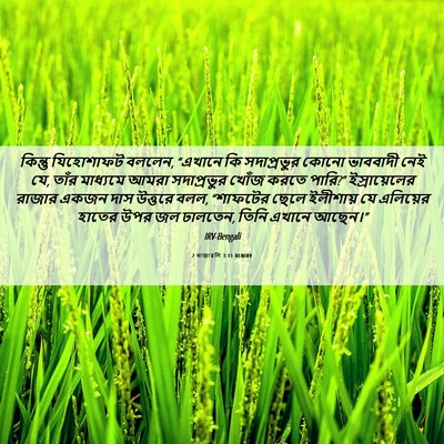 Picture 06 - 2 ৰাজাৱলি 3:11 BENIRV - কিন্তু যিহোশাফট - Bible Verse Picture