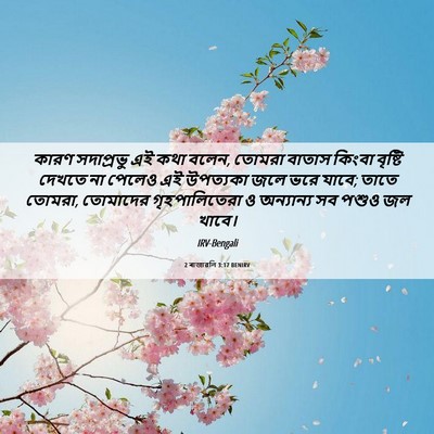 Picture 06 - 2 ৰাজাৱলি 3:17 BENIRV - কারণ সদাপ্রভু এই - Bible Verse Picture