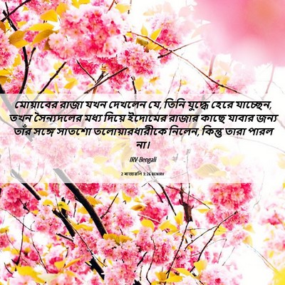 Picture 06 - 2 ৰাজাৱলি 3:26 BENIRV - মোয়াবের রাজা যখন - Bible Verse Picture