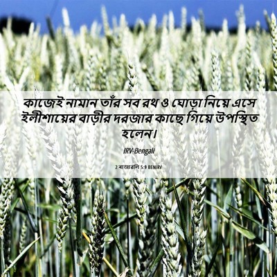 Picture 06 - 2 ৰাজাৱলি 5:9 BENIRV - কাজেই নামান তাঁর - Bible Verse Picture